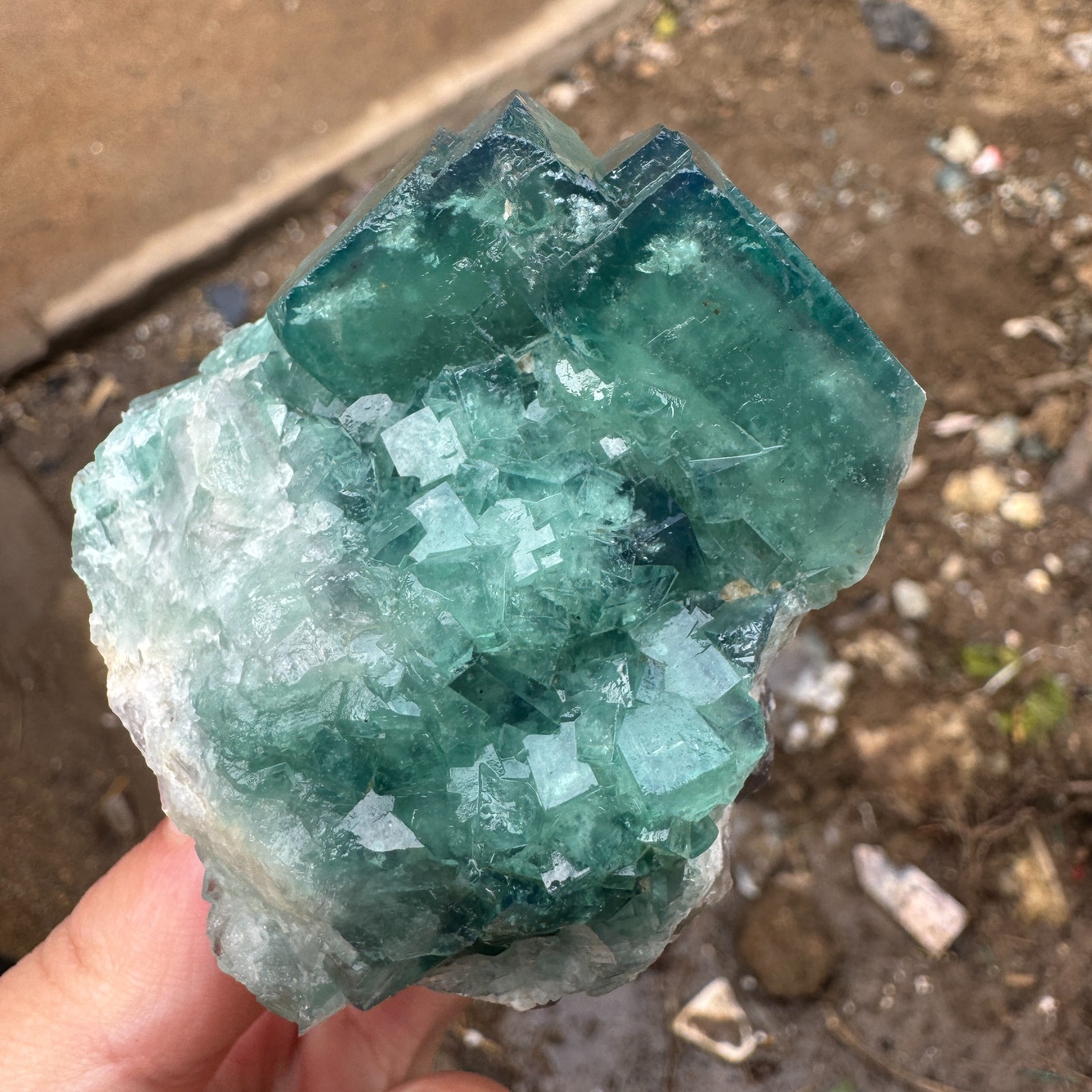 220G Natural cubic green fluorite crystal cluster rough mineral specimen Healing