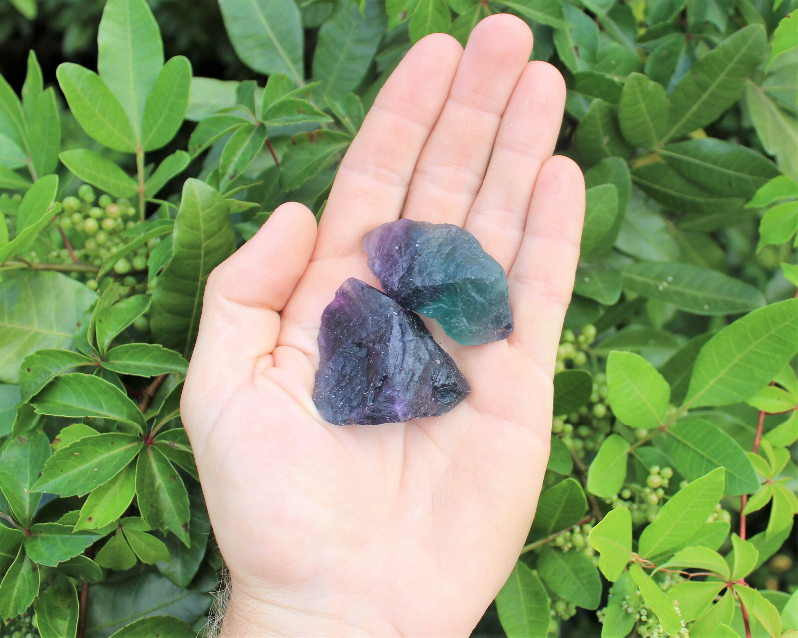 1 lb Bulk Lot Natural Rough Fluorite (Crystal Healing Raw Rock Mineral)