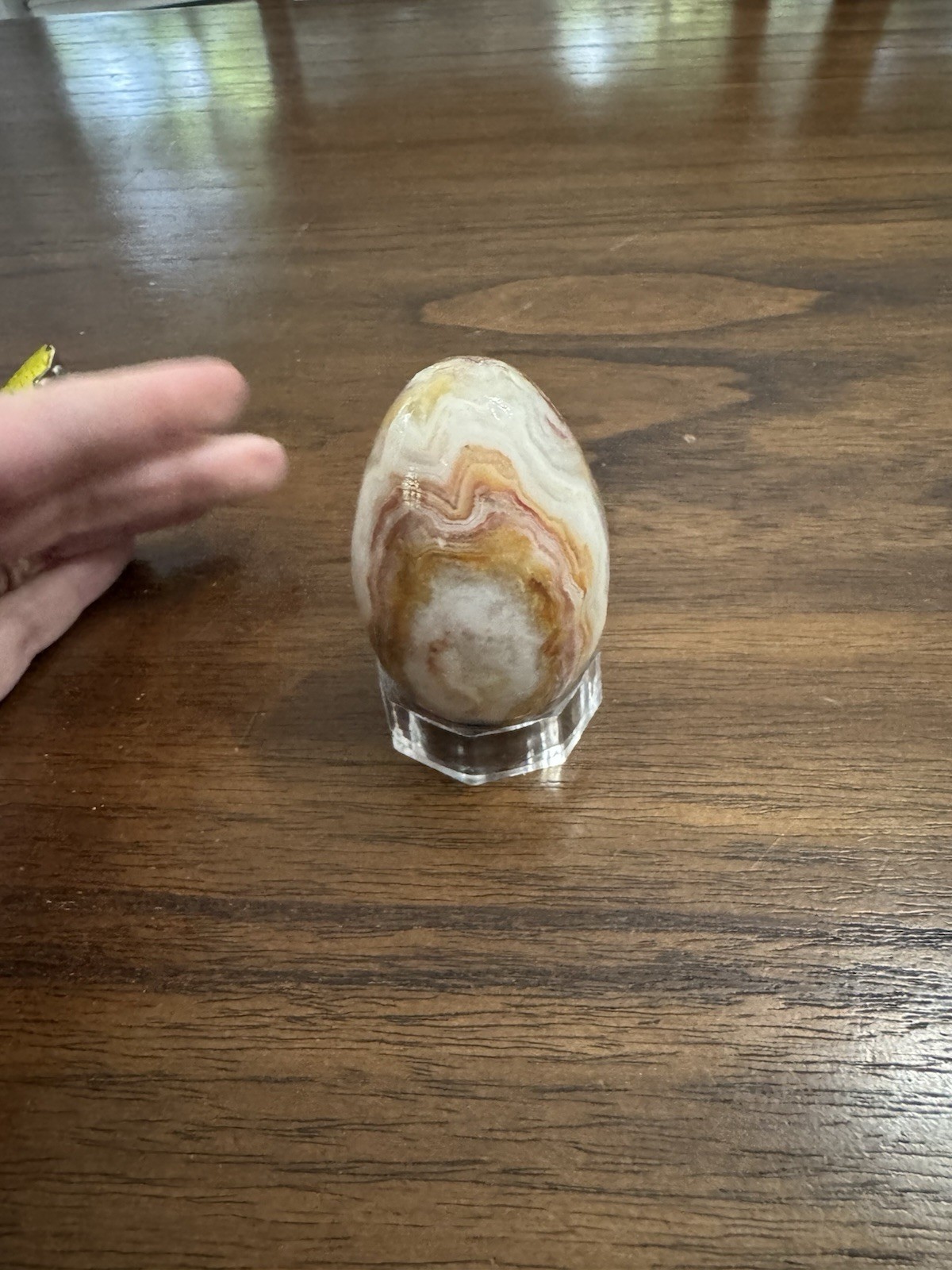 Banded Onyx Polished Egg Displayed On Plastic Stand Beautiful!