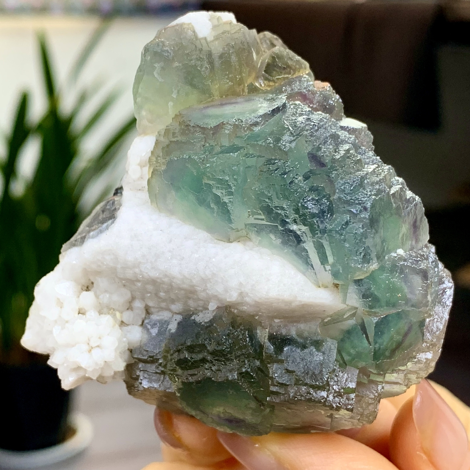 197G Rare transparent blue green cubic fluorite mineral crystal sample