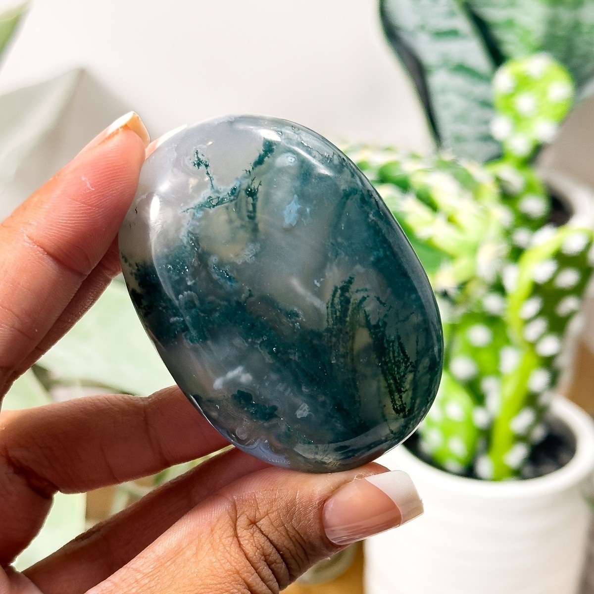 0.2LB Wholesale Natural Moss Agate Crystal Palm Stone Druzy Geode Home Collect