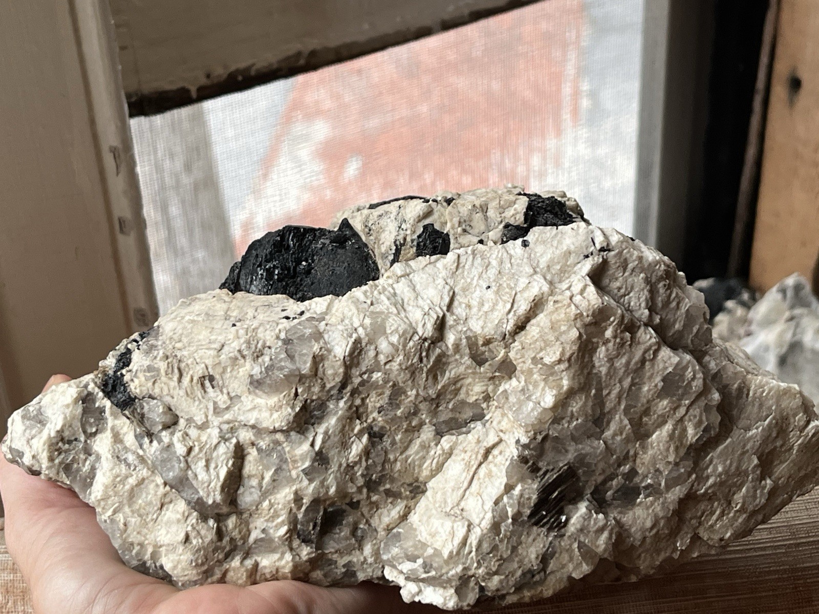 HUGE 6lb 9” Black Tourmaline Schorl Crystals In Matrix Maine USA Locality Quartz