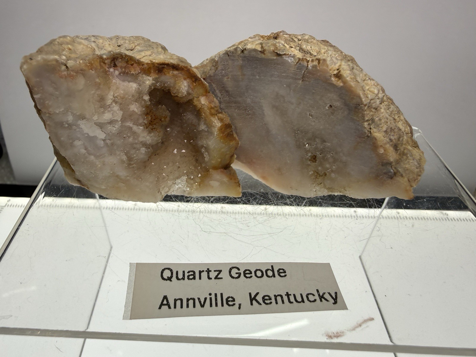 Natural Quartz Crystal Mineral Geode Pieces Annville, Kentucky 236grams