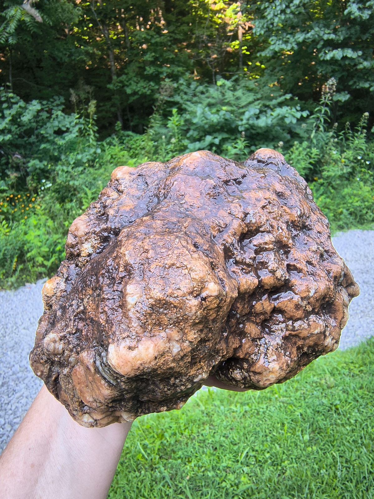 7.06 lb Kentucky Geode Unopened Large Natural Crystal Geode 8″ Feels Hollow