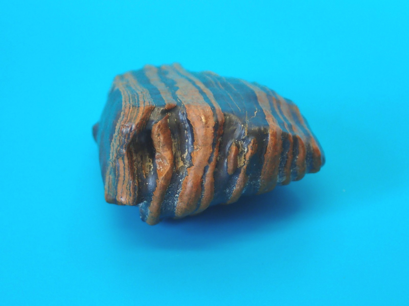 Banded Iron, Tiger Iron, Seer Stone, Genesis Stone, Banded Iron Formation, BIF