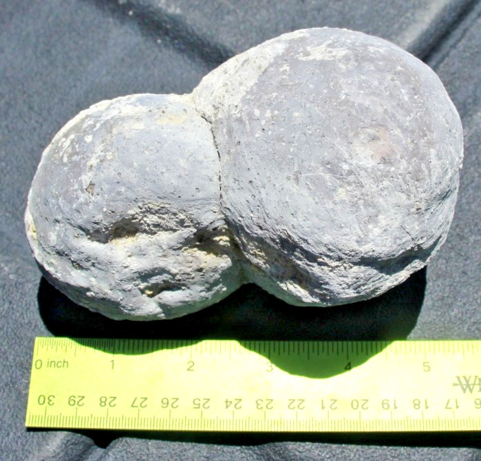 One Whole Double Bubble Dugway Geode • 5.25″ diameter • 2 lb. 2 oz.