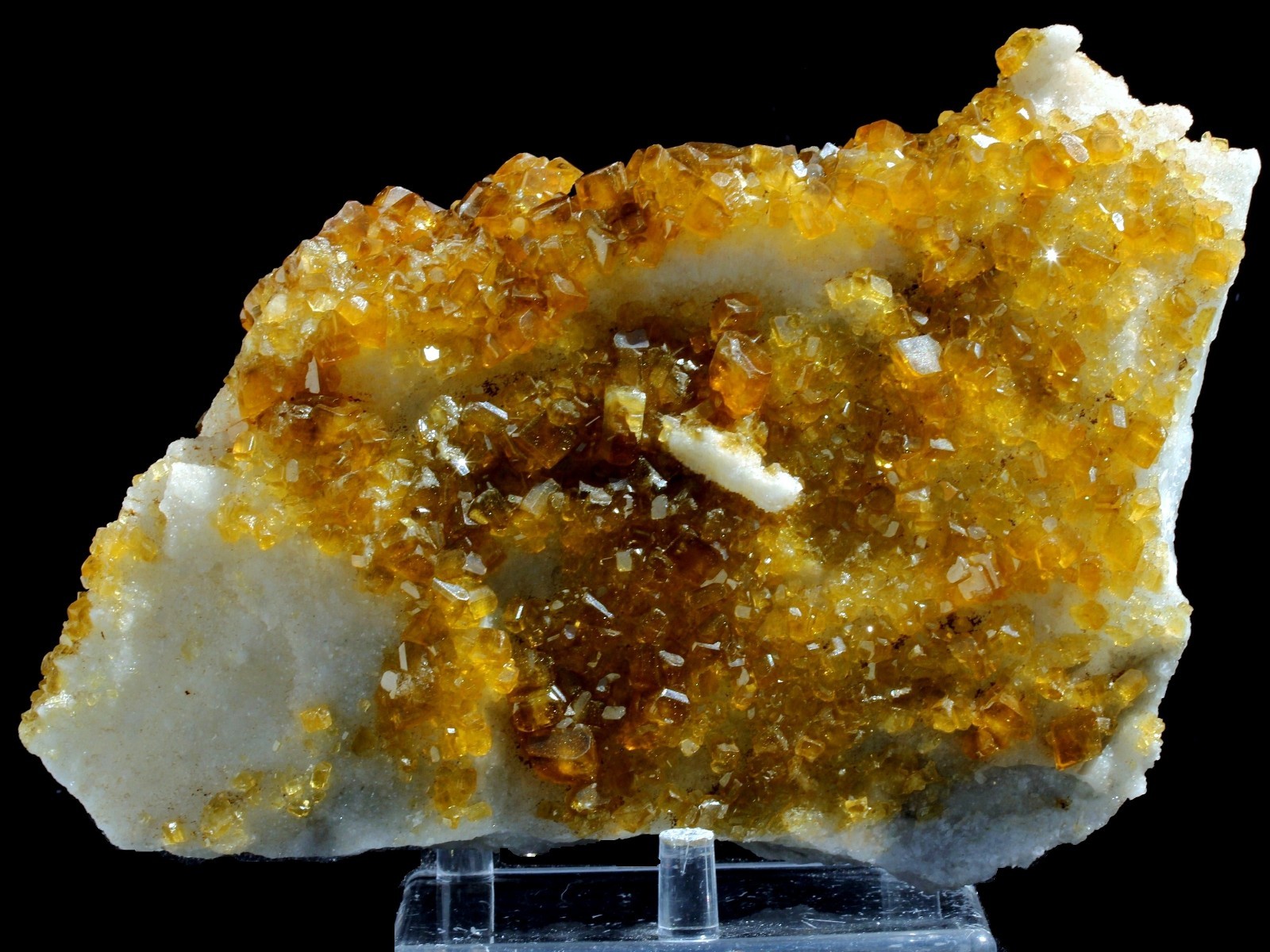 3.0Lbs Super Bright Golden Barite Crystals on White Quartz Mineral Specimen!