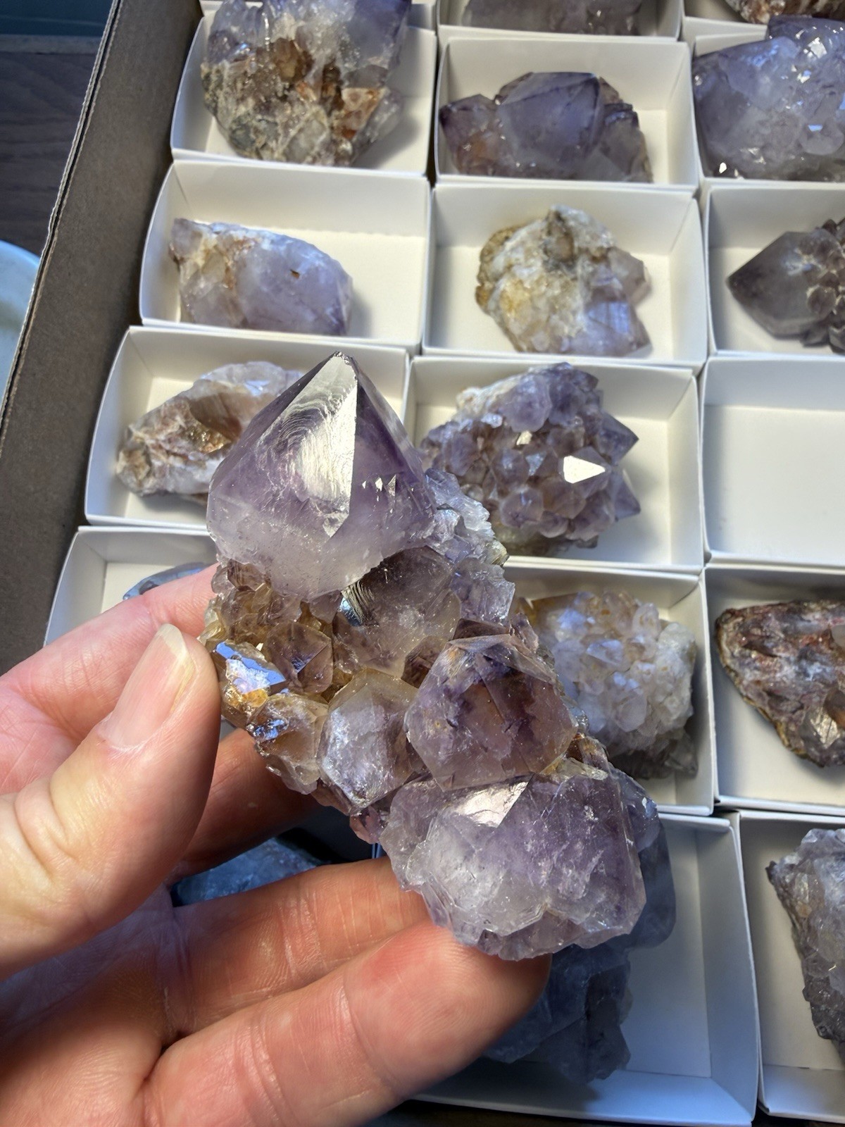 Amethyst Crystal Specimen! Orange River South Africa Excellent Color Quality