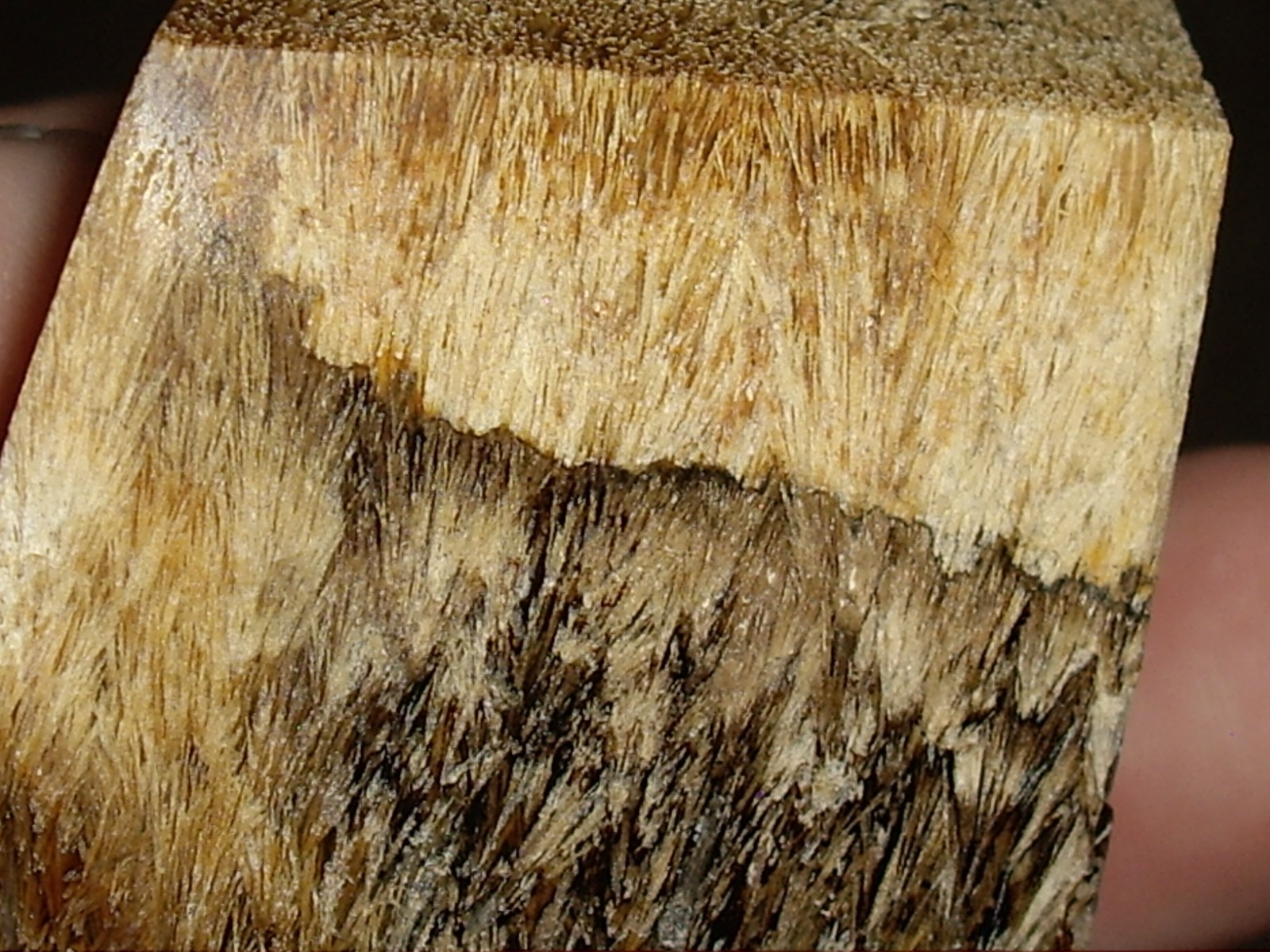 Fantastic Sagenite Agate Polished Freeform w/ Unknown Fibrous Inclusions 144.6g