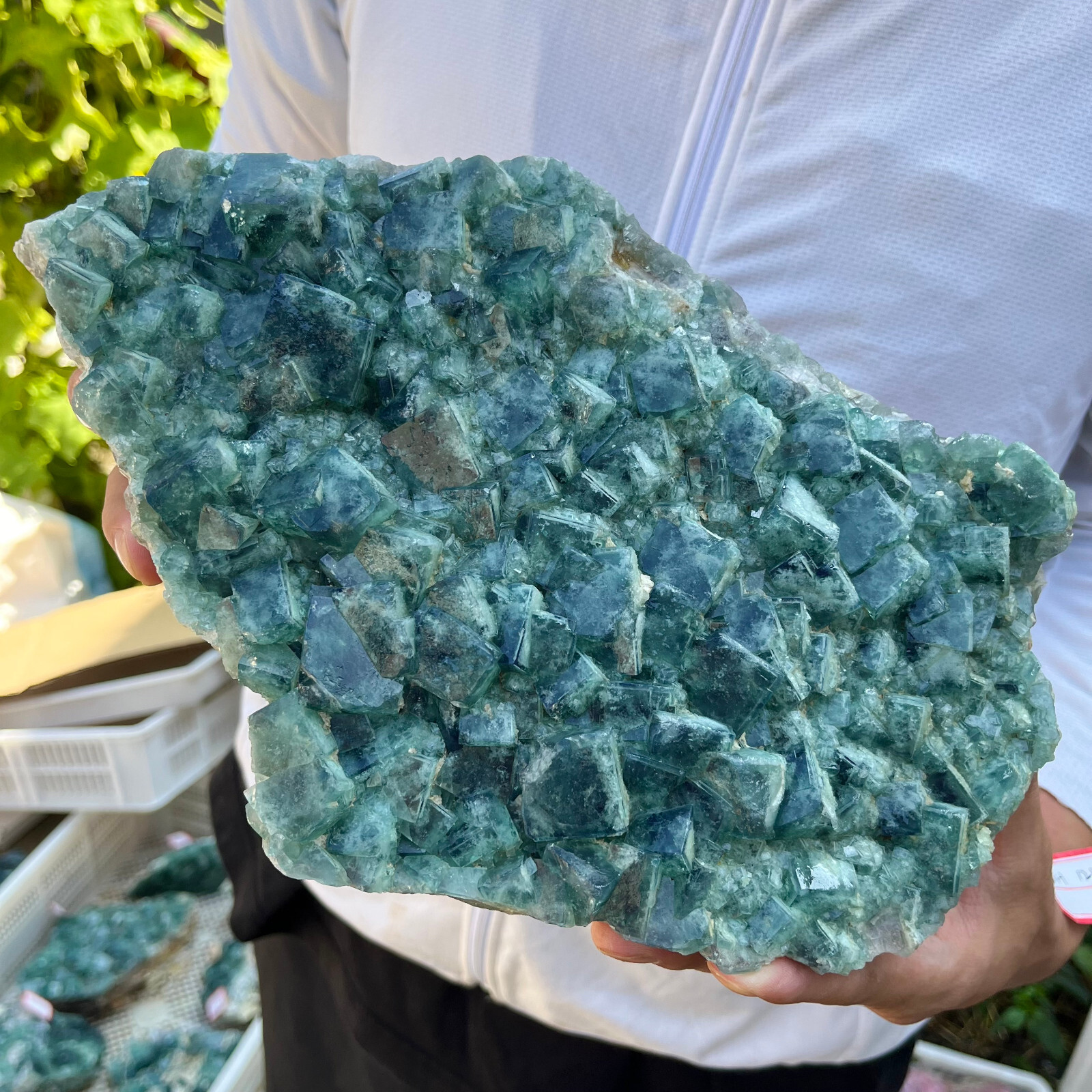 9.7lb Large Natural green cubic fluorite quartz crystal cluster mineral specimen