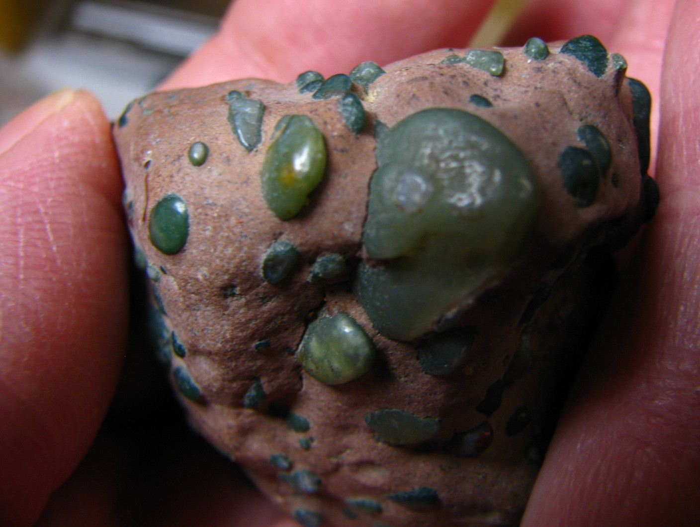OVER 50 GREEN JADE PIECES IN BROWN MATRIX 46g 1.88×1.3×1.1in JIANGSU CHINA #216