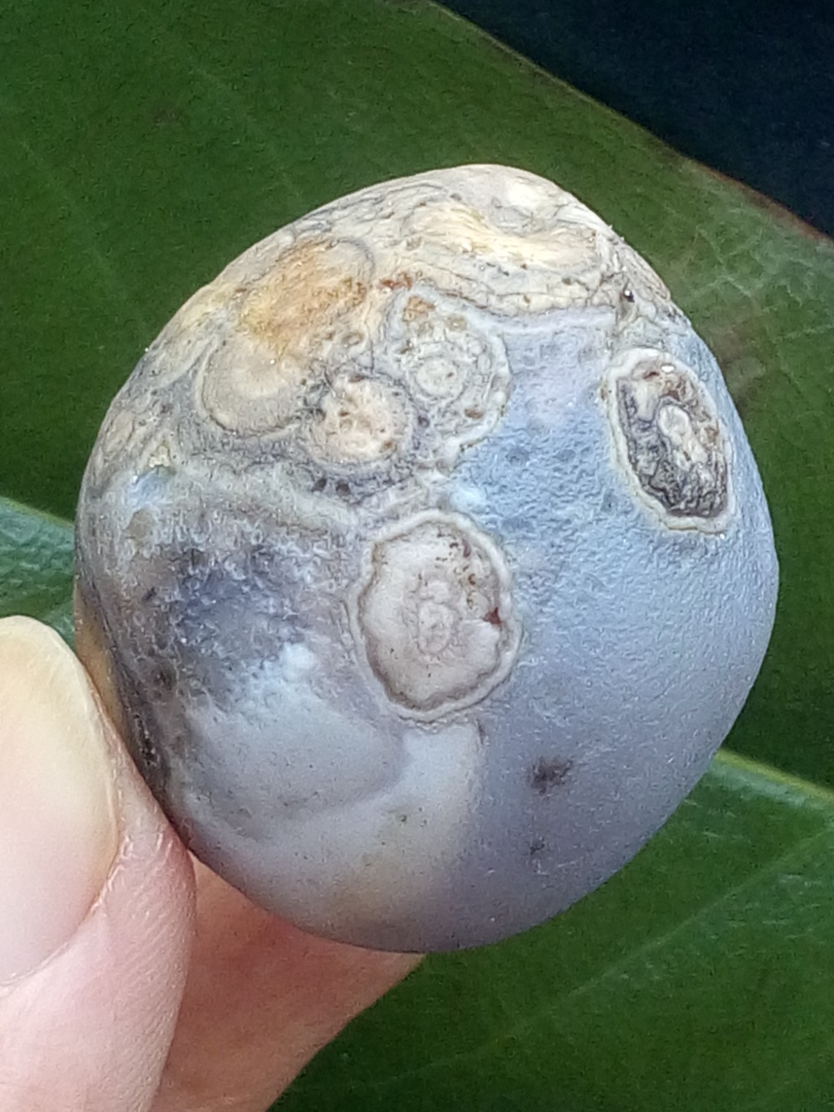 36mm Natural agate Gobi agate eye agate stone collection Landscape stone
