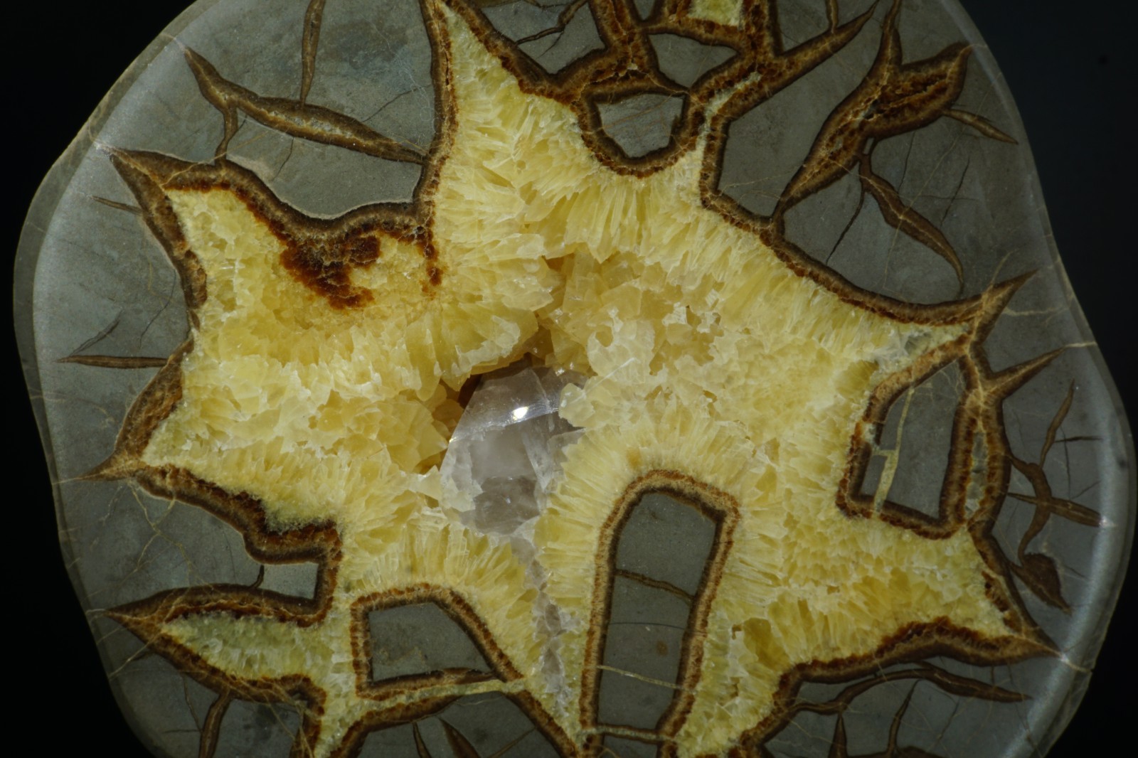 Septarian Nodule with Barite Crystal / Mount Carmel Junction, Utah / Large Polis
