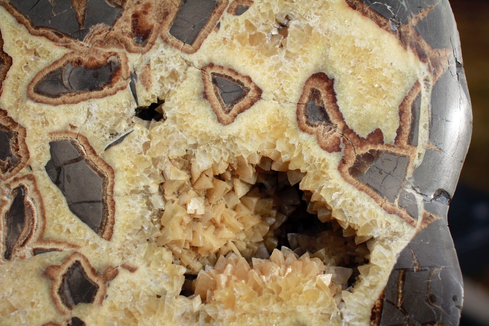 Crystal Filled, Polished Septarian Geode from Utah • 12.1 lbs.
