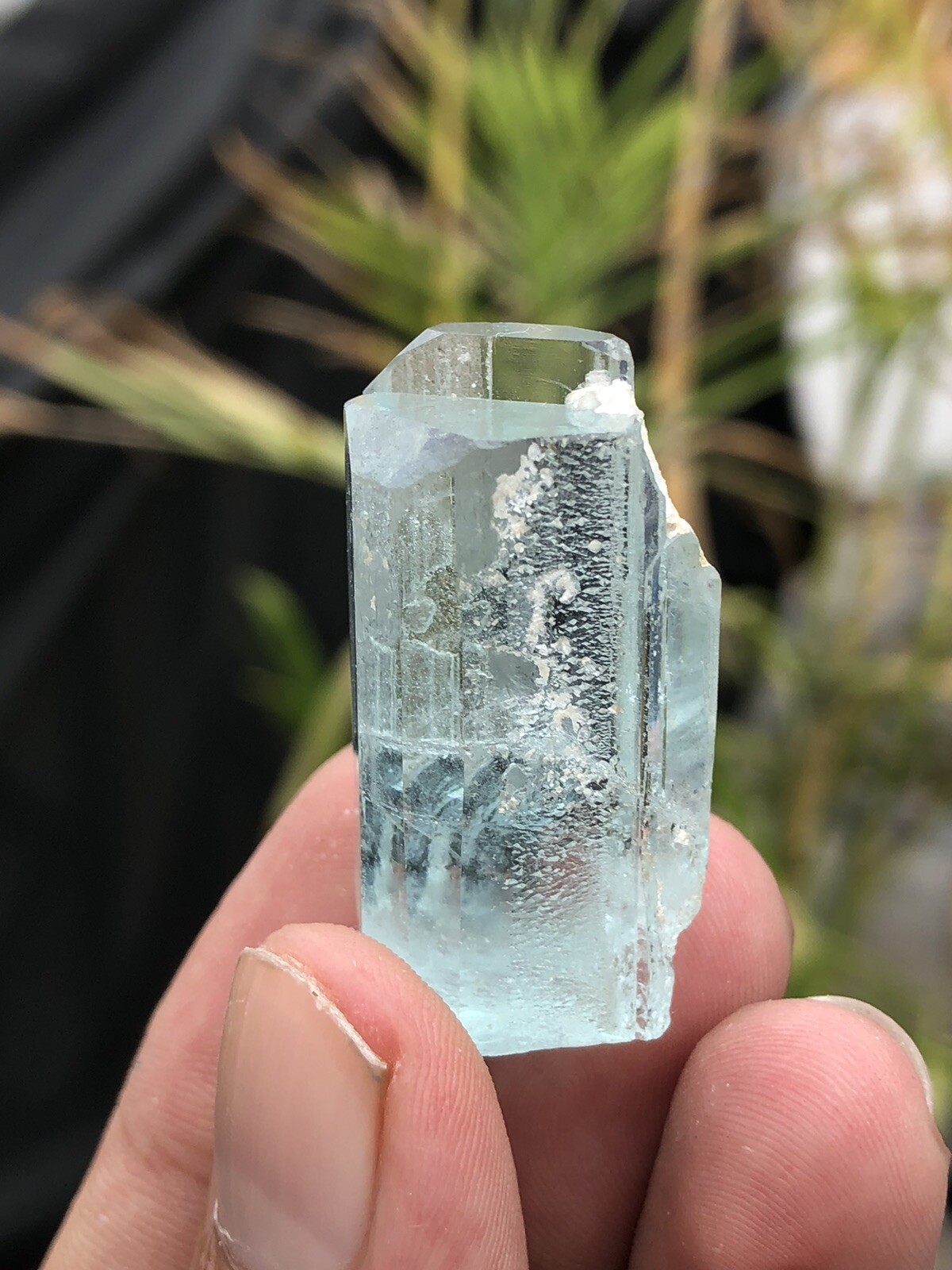 15.6 Amazing Top Class Aqumarine Crystal Natural DESIGNED shigar Pakistan