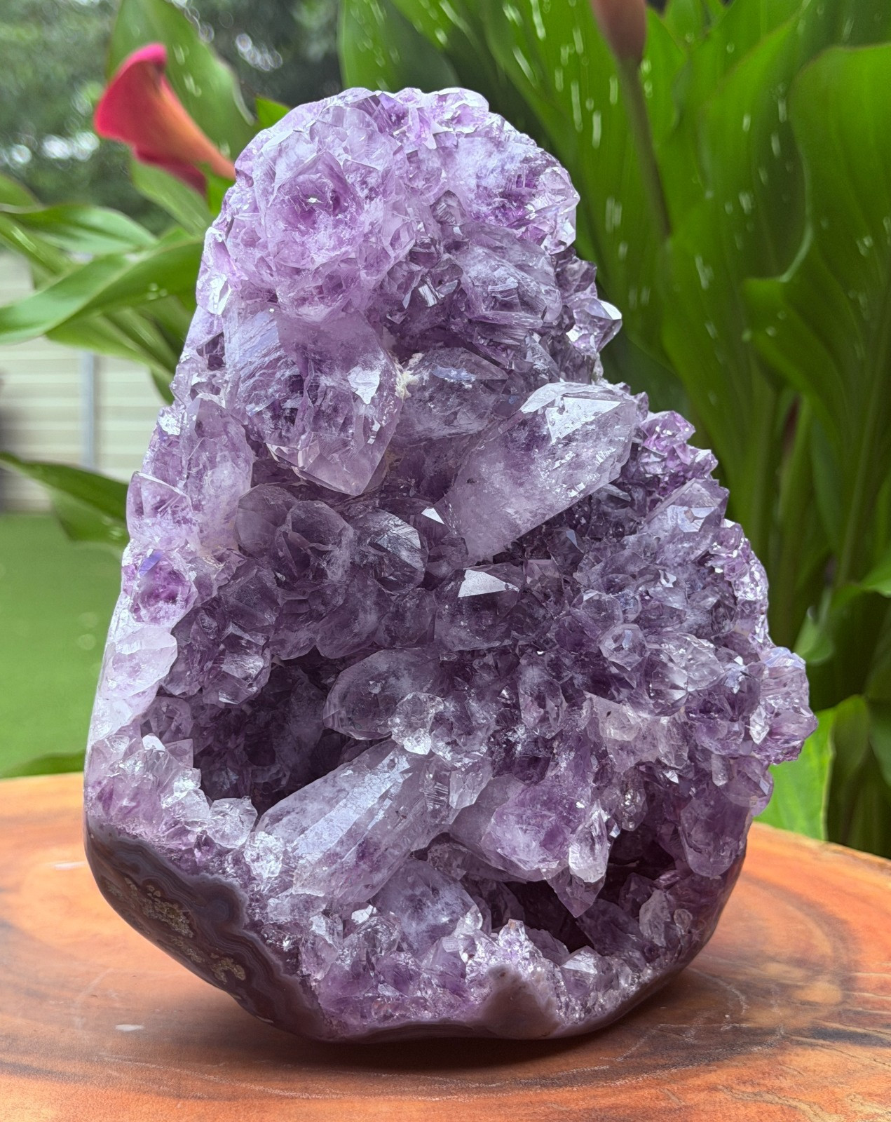 Massive Museum Grade Amethyst Geode Specimen 3.49kg Serra do Sol Brazil