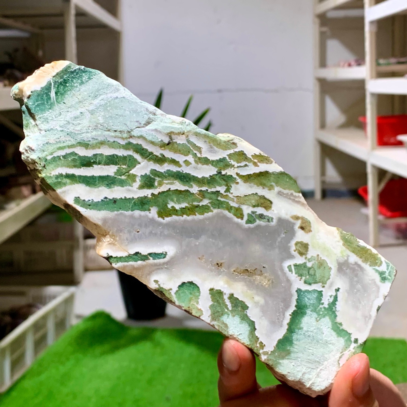 300G Natural green moss agate crystal raw stone flakes quart specimen