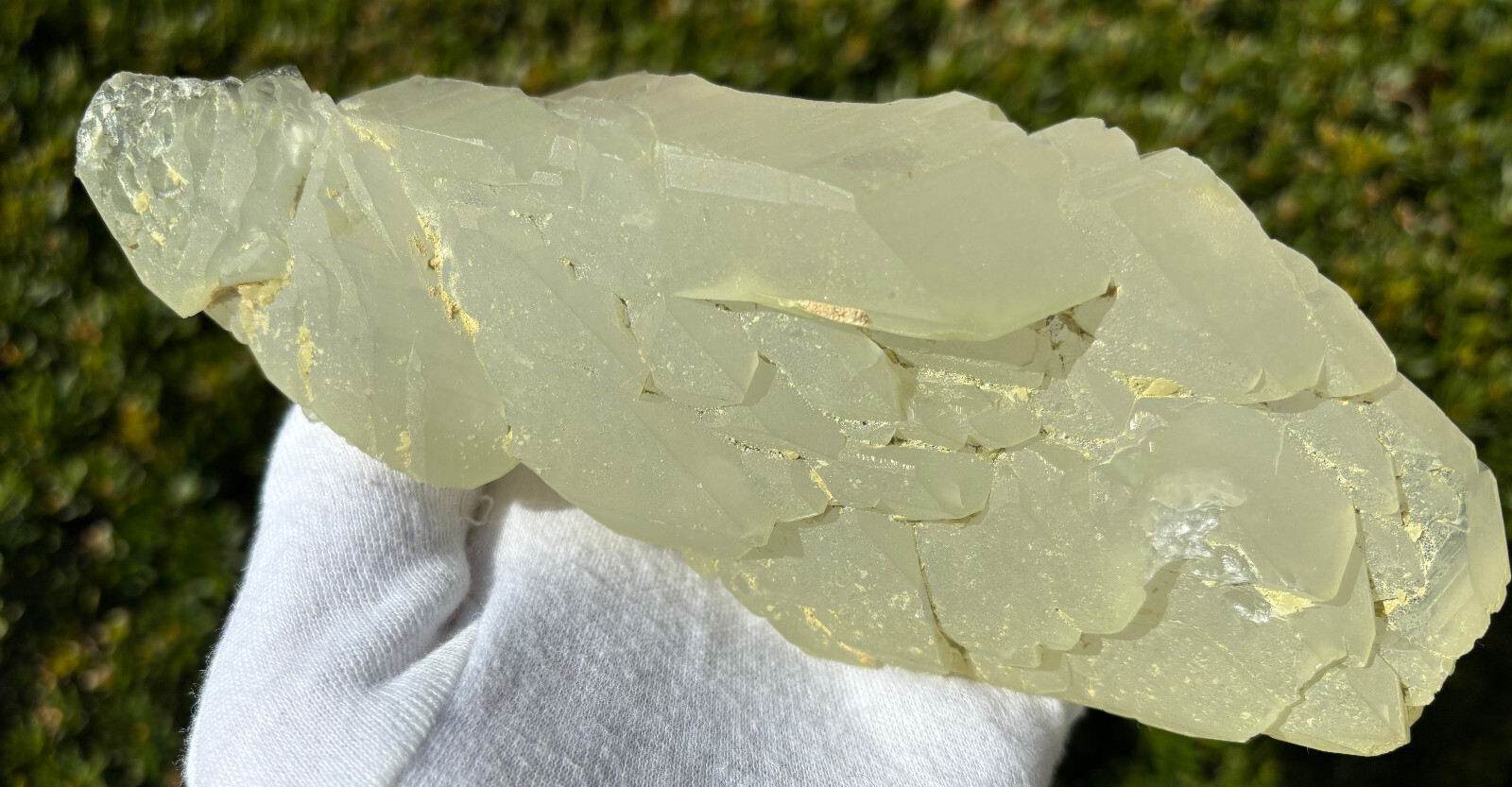 USA SALE SEE VIDEO 479g 1LB+ 6.1″ LARGE ELESTIAL EPIDOTE QUARTZ CRYSTAL SPECIMEN