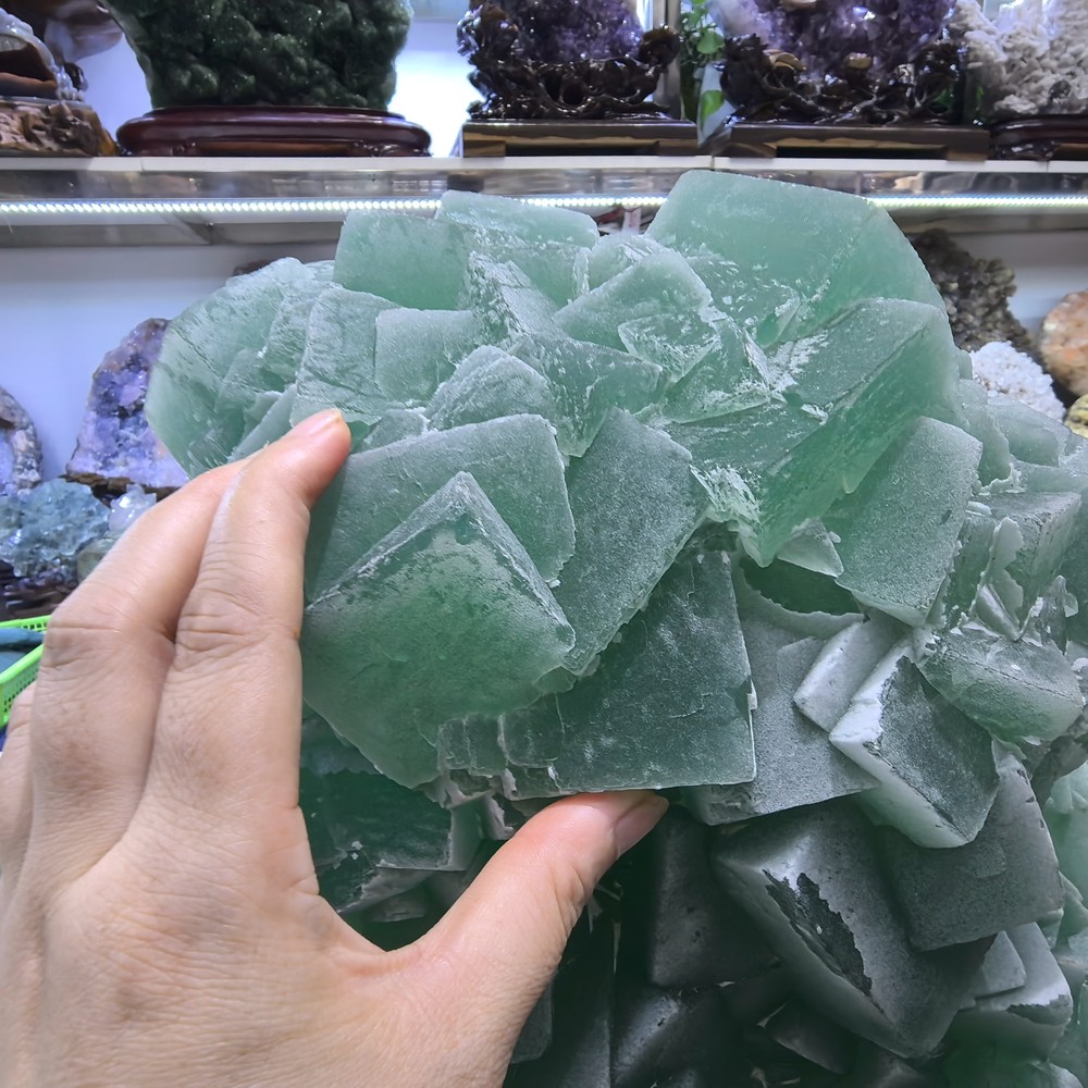 110LB Top Natural Green Fluorite Quartz Cluster Crystal Mineral Specimen + stand