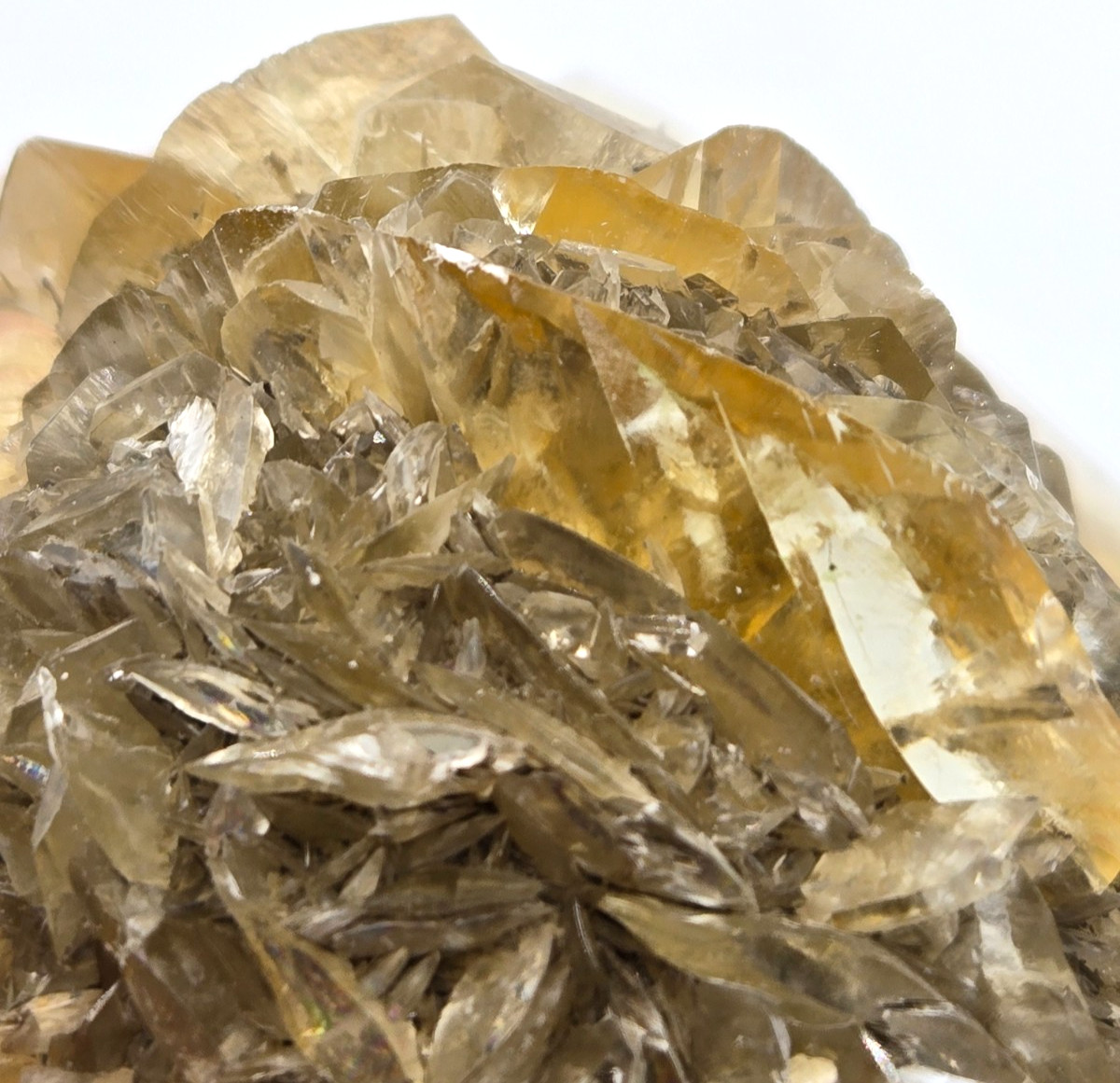 +++ GYPSUM VAR. SELENITE RED RIVER FLOODWAY, WINNIPEG, MANITOBA, CANADA +++