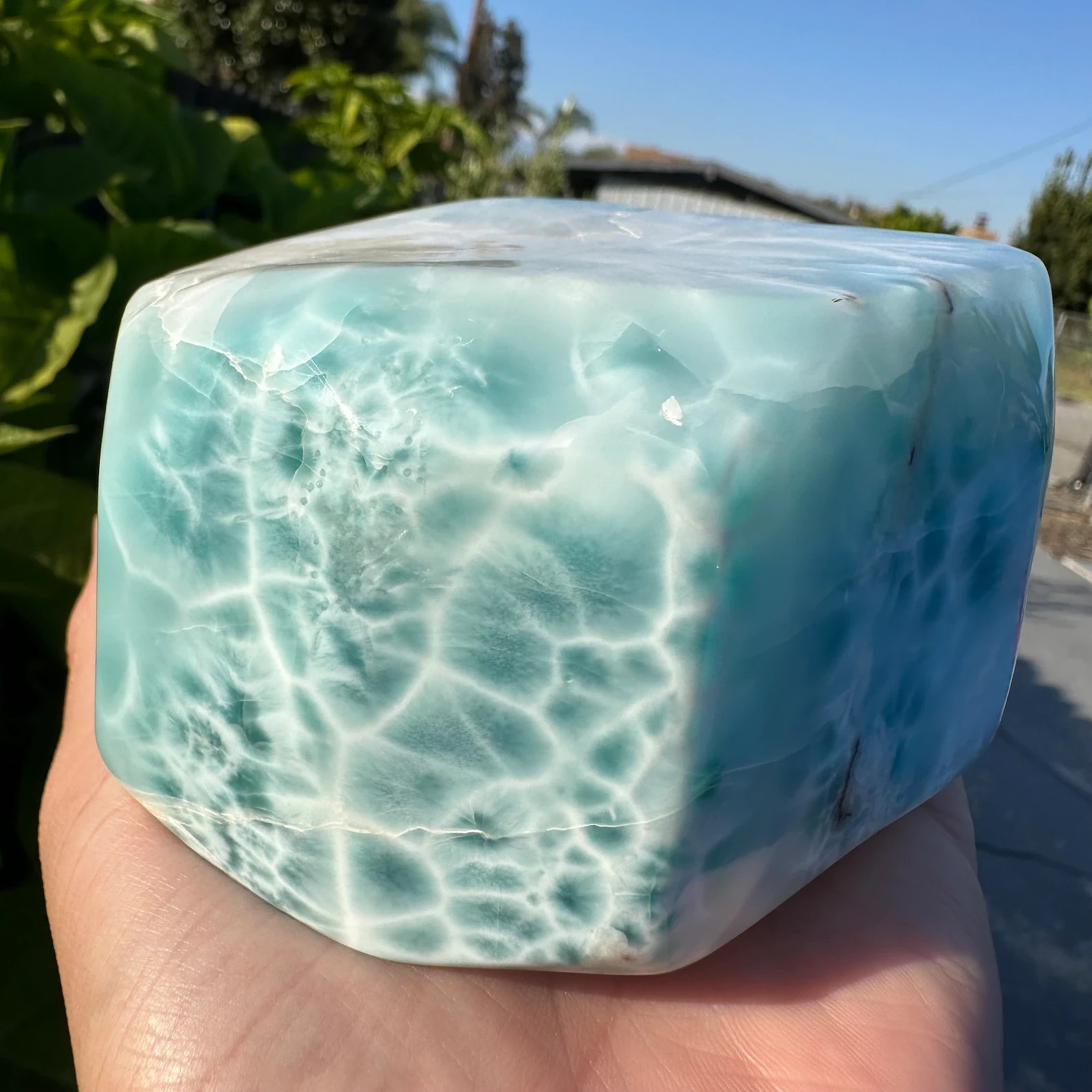 XL DOMINICAN REPUBLIC BEAUTIFUL FREEFORM 104 x 80 x 55 MM