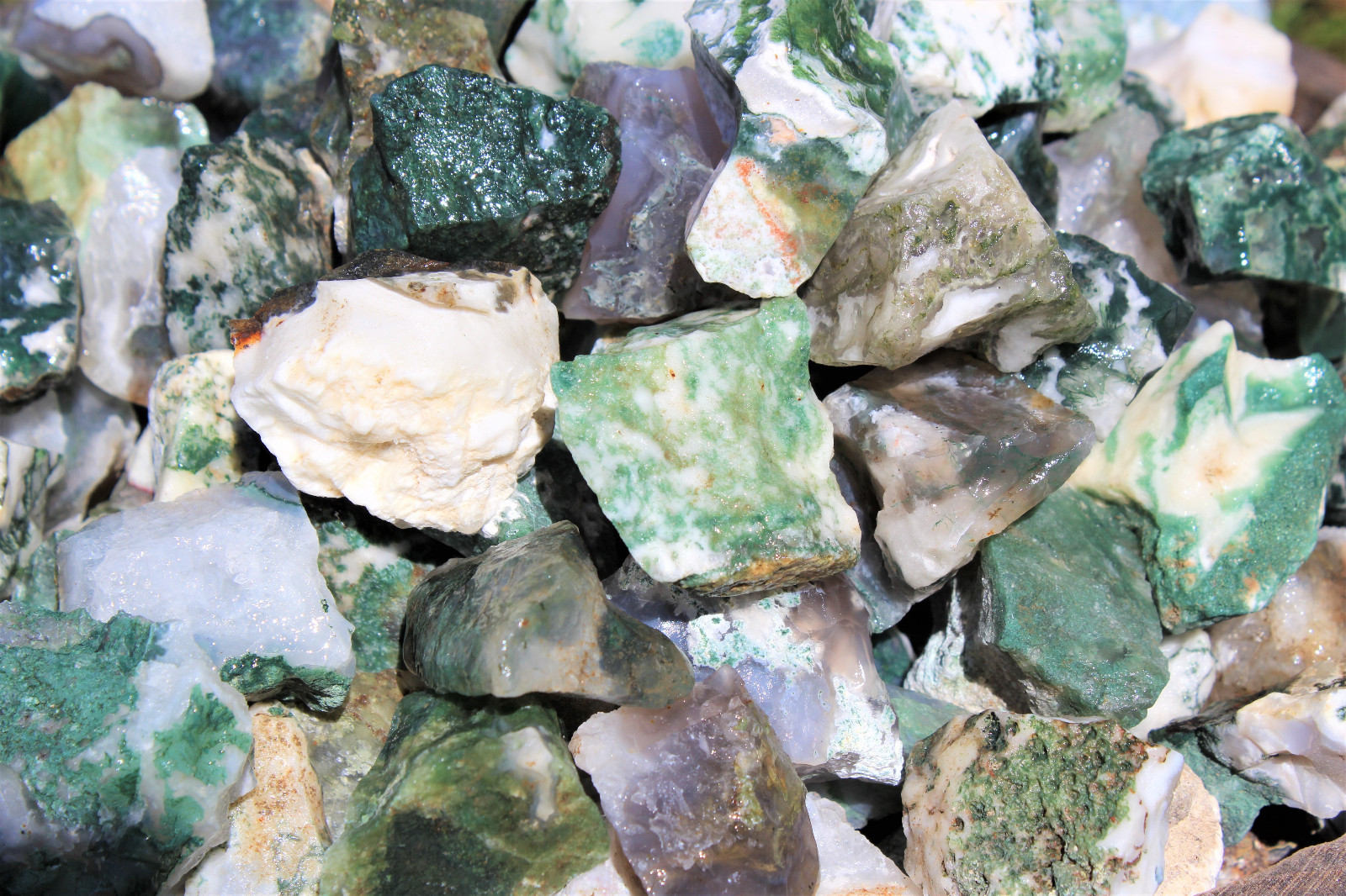 5 lb HUGE Bulk Lot Natural Rough Tree Agate (Raw Crystal Rocks 11000+ Carats)