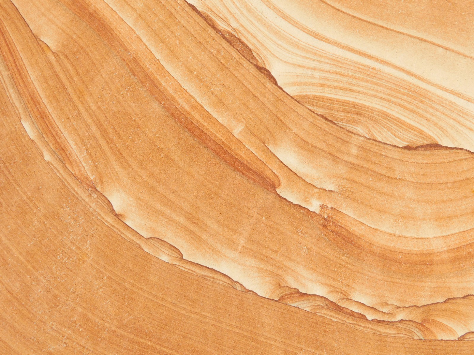 wOw! LARGER PICTURE Stone or SANDSTONE Slice/Slab with Display Stand Utah 541gr