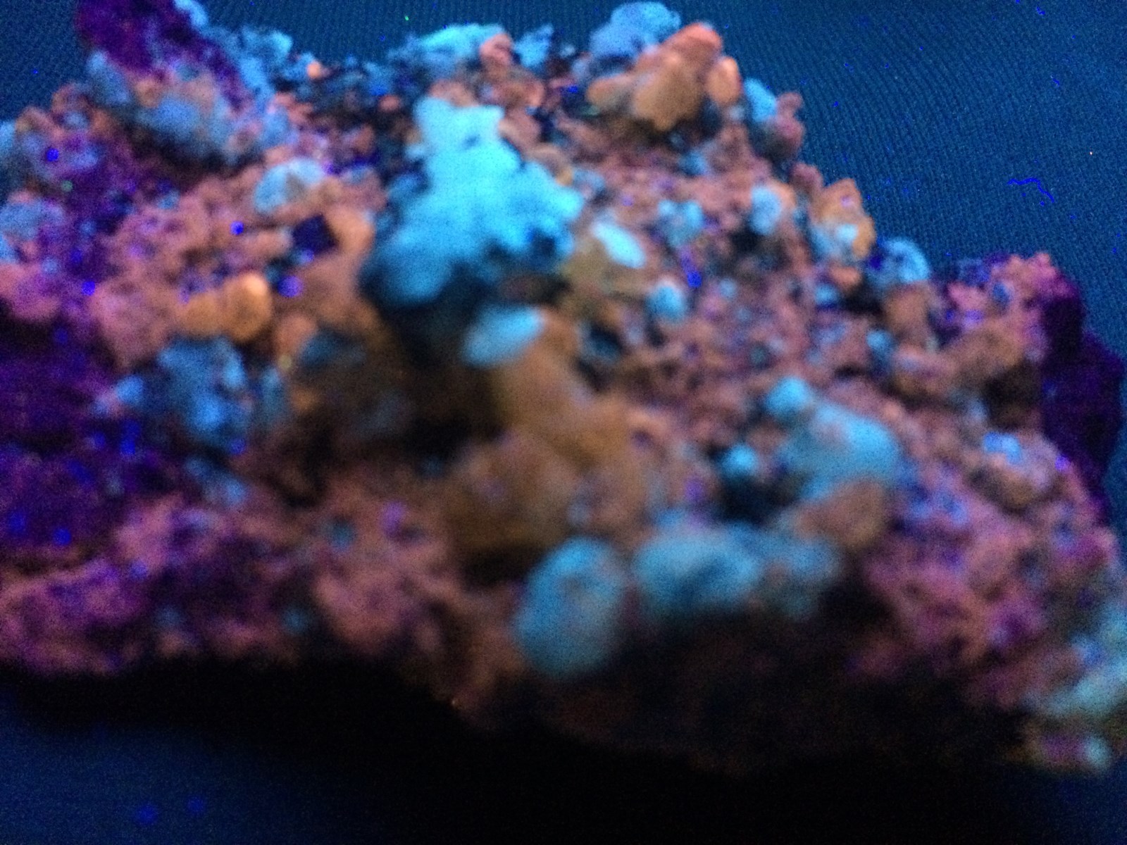 KB: BRIGHT SW FL. ORANGE APATITE XLS. W/ FL. WHITE CALCITE FROM SPAIN