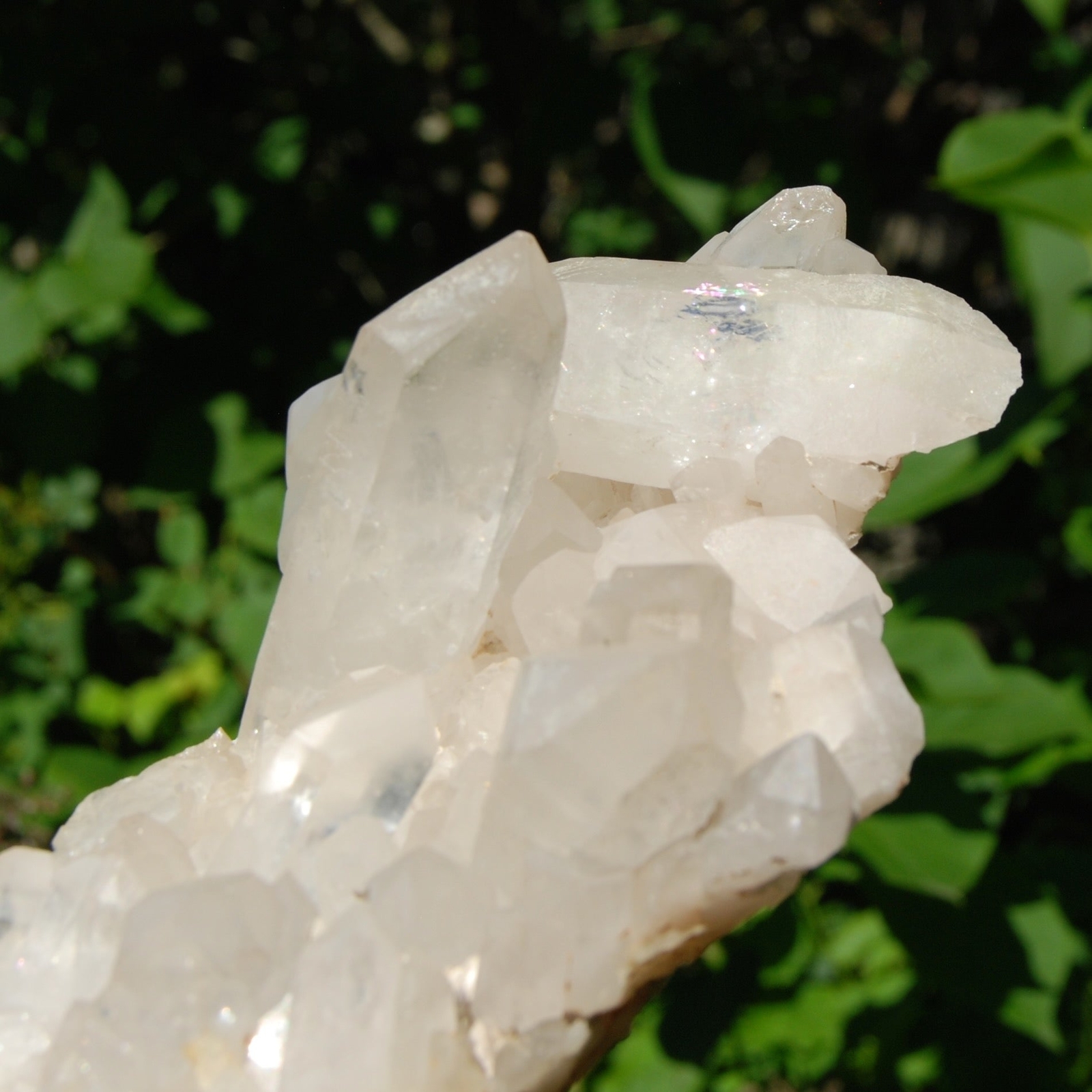 2lb 6.5in Large Clear Quartz Crystal Cluster, Zambia zc1