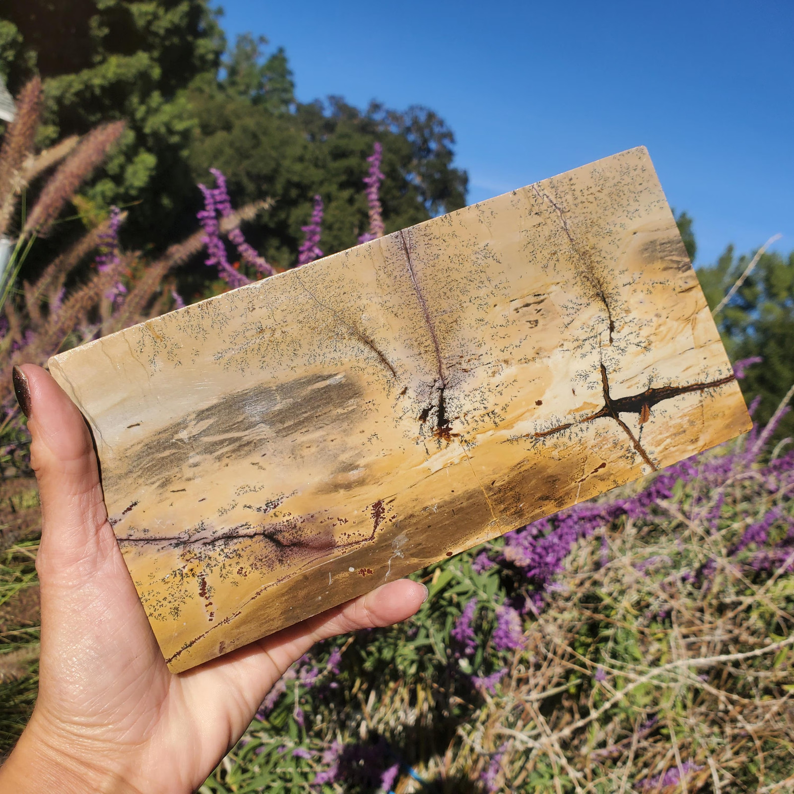 Picture Story Jasper Pastel Dendritic Display Crystal Tile Slab 918 grams