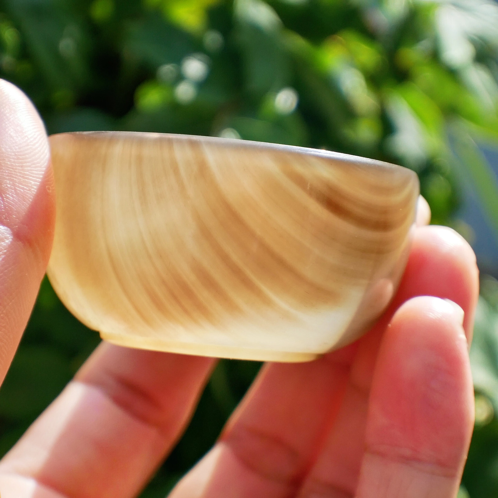 Natural Ox Horn Bowl Gemstone Crystal Quartz Dish Healing Sacral Chakra Reiki 1p