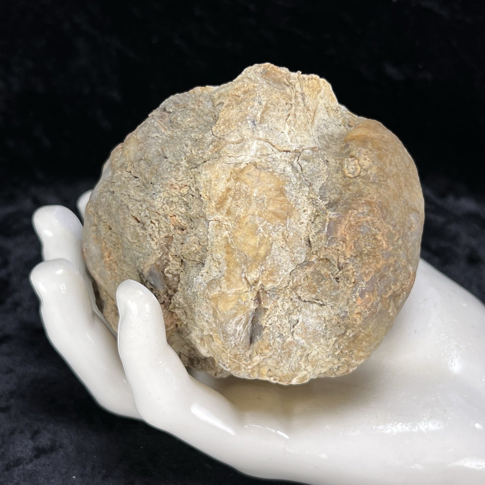 Unopened Geode Crystal Quartz Rattler Whole Uncut Break Your Own 1.4Lb