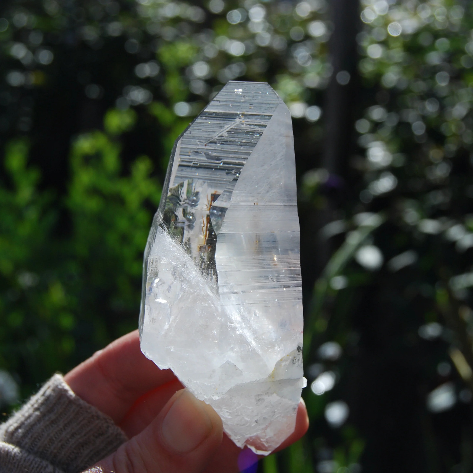 4.25in 227g Colombian Lemurian Seed Crystal Laser Receiver, Self Healed Optical