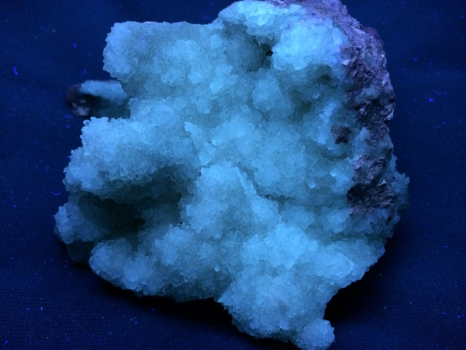 KB: BRIGHT CABINET SW & LW FL. BLUE/WHITE COLEMANITE XLS., KERN CO., CALIFORNIA