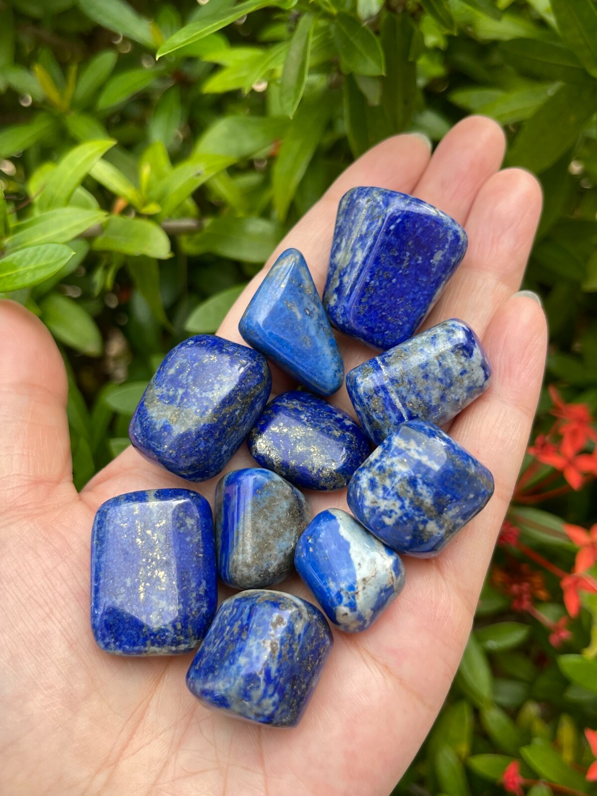 Grade A++ Lapis Lazuli Tumbled Stone, 0.75-1 Inch Lapis Crystals, Wholesale Bulk