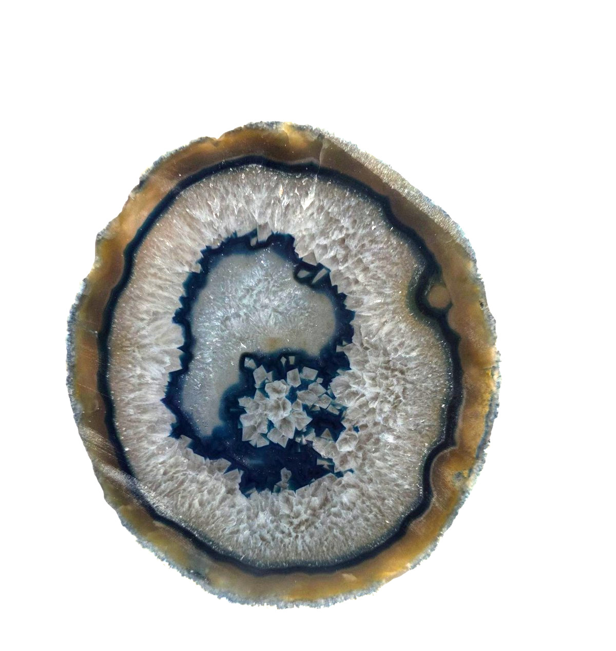 Dyed Agate Geode Rock Slice Thick Cut Polished Blue and White Crystals Brown Rim