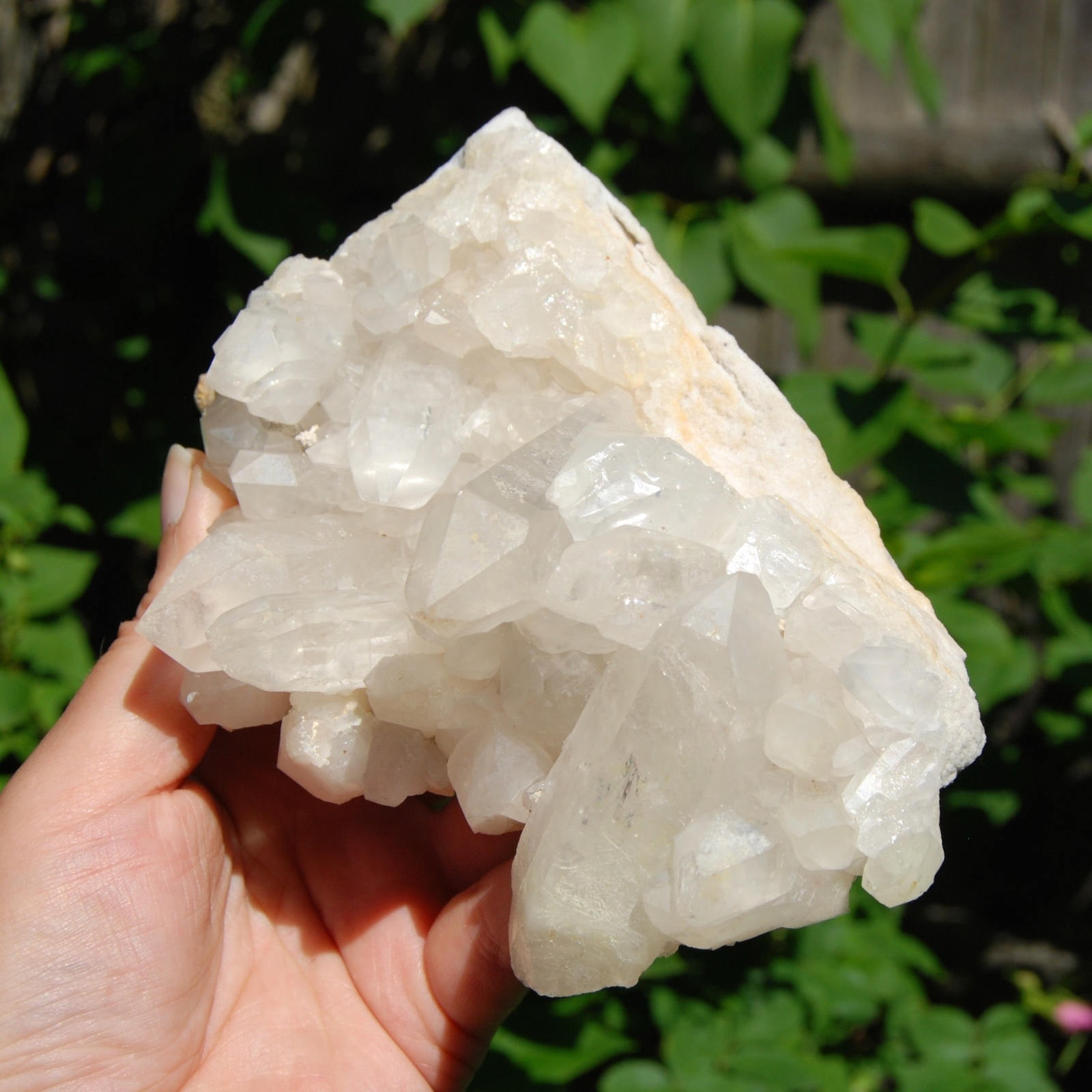 2lb 6.5in Large Clear Quartz Crystal Cluster, Zambia zc1