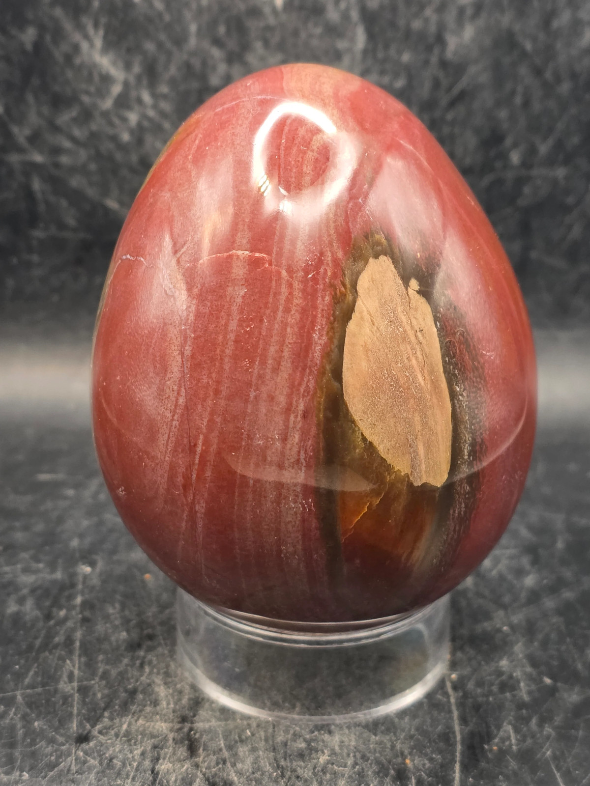 Petrified wood egg! 1.2 pounds, 3.3 inches tall, 2.6 inches wide