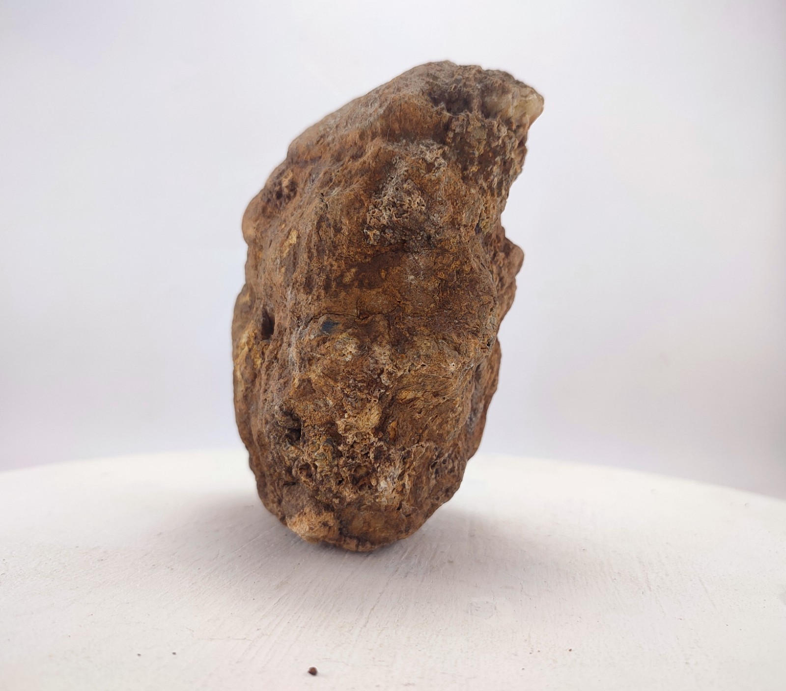 6.5″ Unopened Geode Hollow Kentucky Crystal Quartz Rattler 4.1 lb Break Your Own