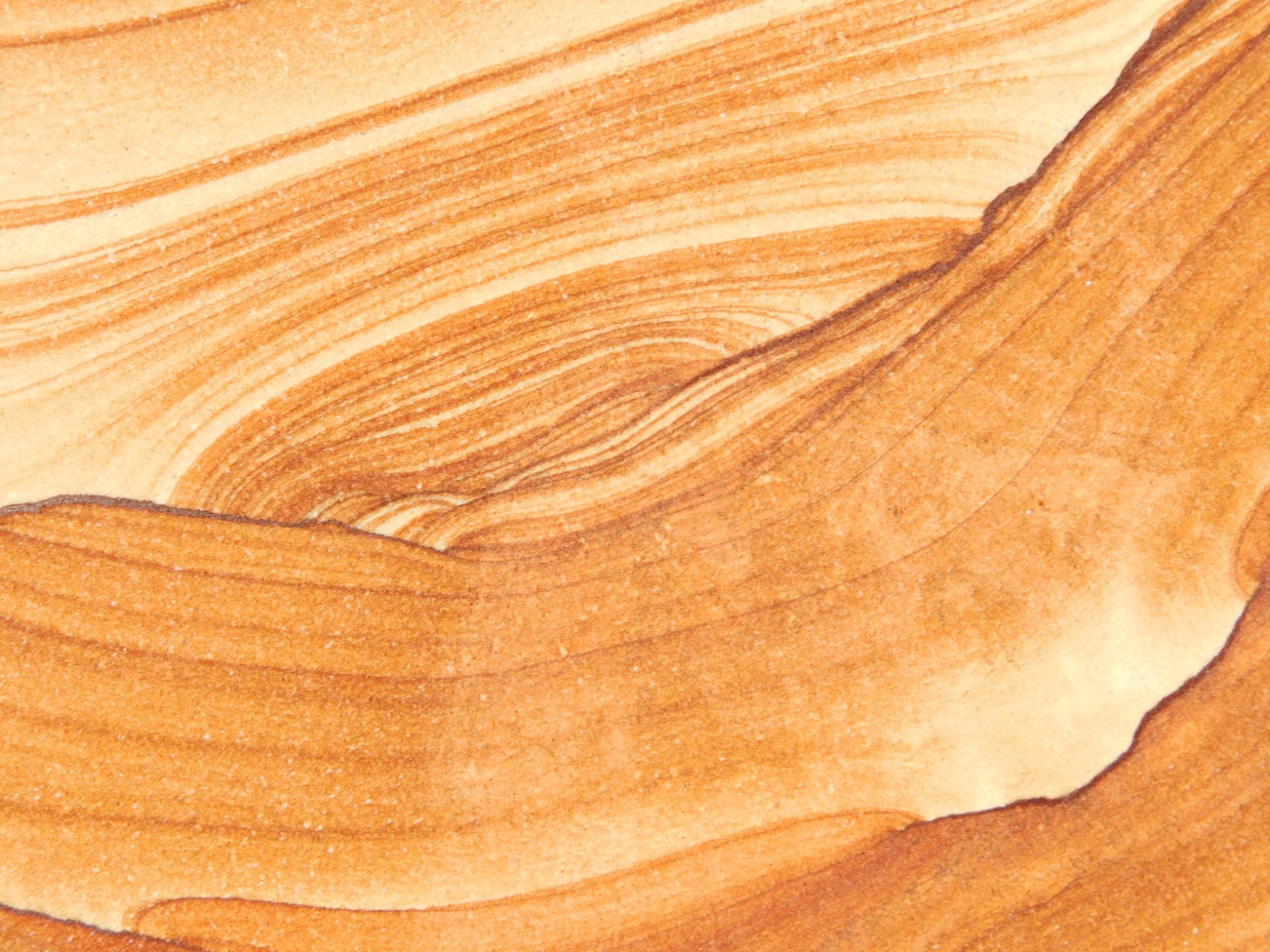 wOw! LARGER PICTURE Stone or SANDSTONE Slice/Slab with Display Stand Utah 541gr