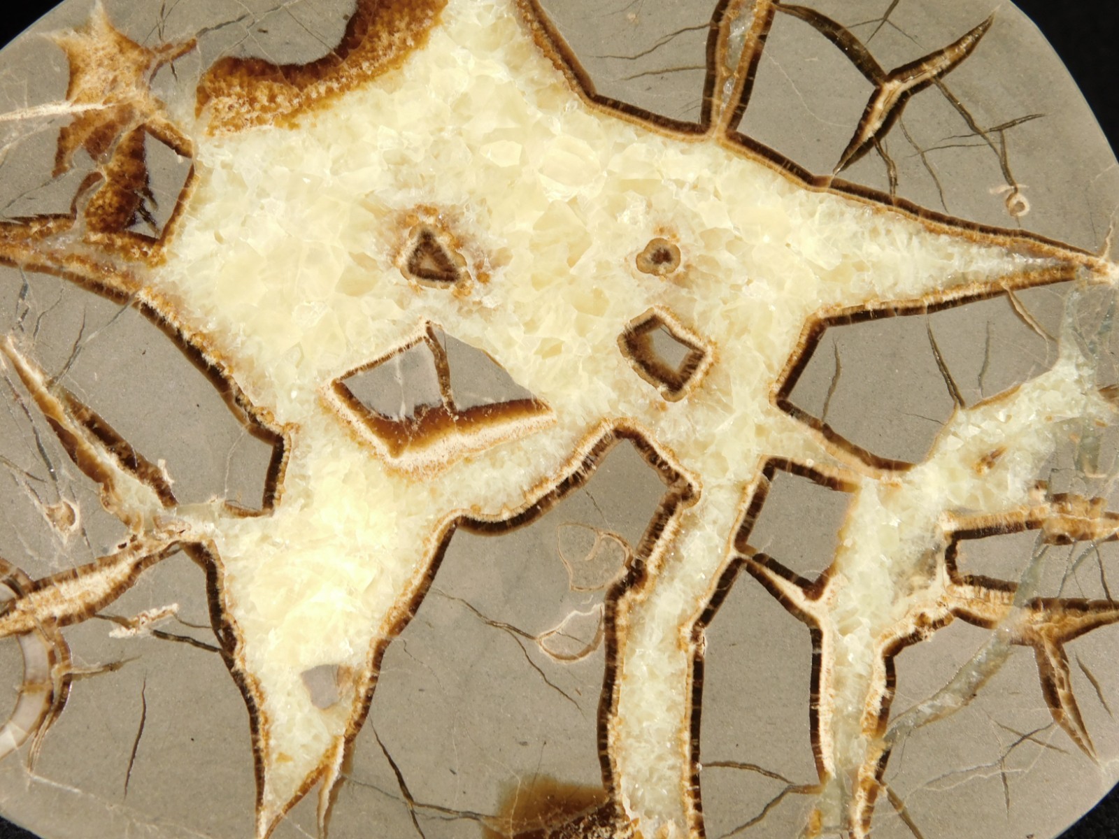 Polished FLUORESCENT SEPTARIAN Nodule Slice 100% Natural w/Stand 244gr