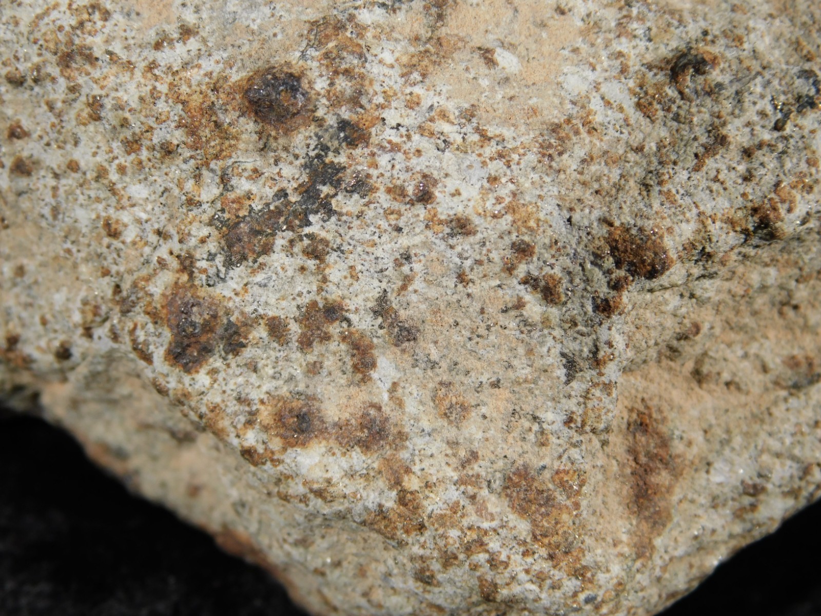 Larger! CLASSIFIED NWA 8245 METEORITE with Dark Fusion Crust Erfoud, Morocco 471