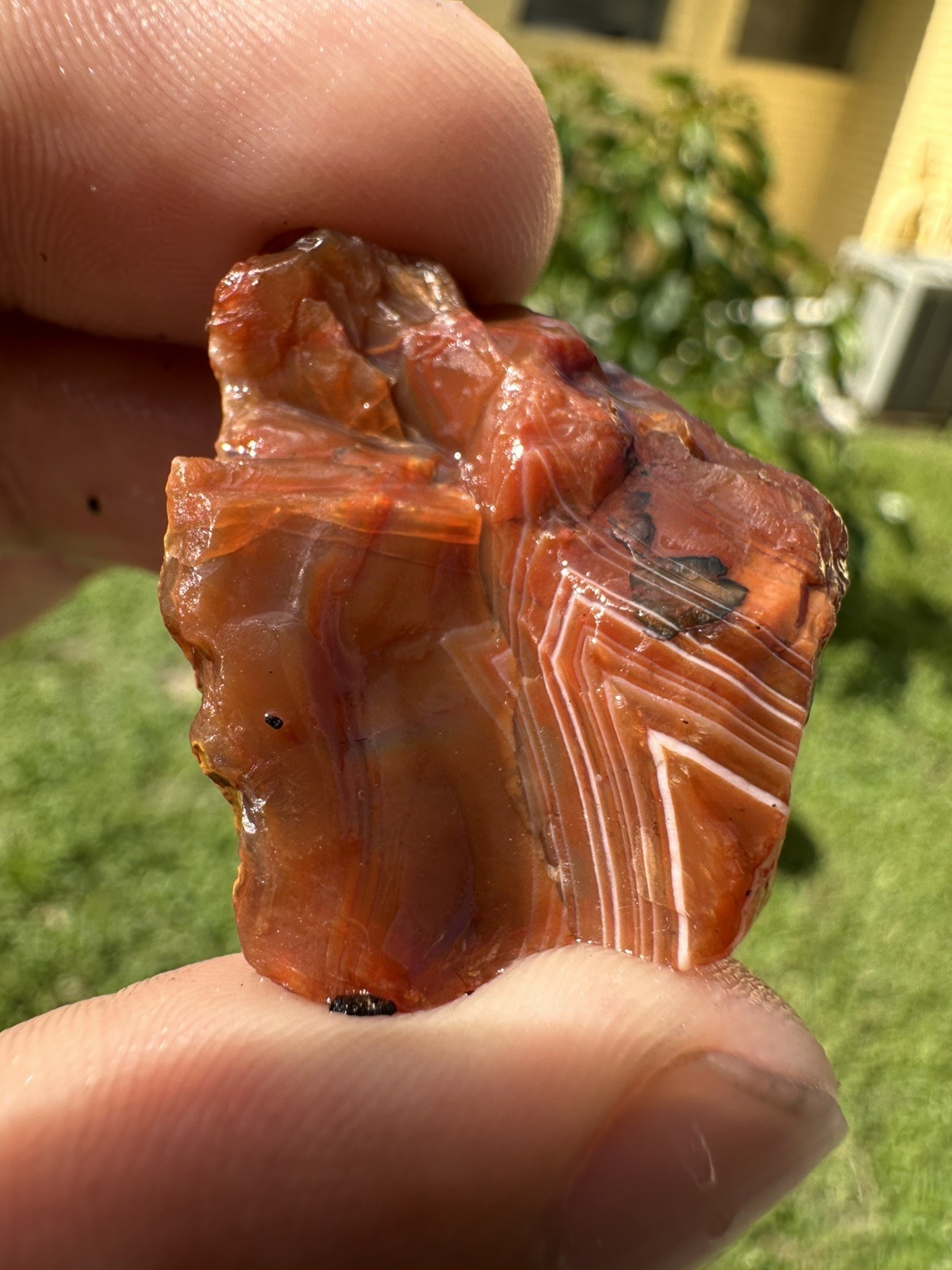 3.65 oz Lake Superior Agate Lapidary Lot 5 Multicolor Beauty’s
