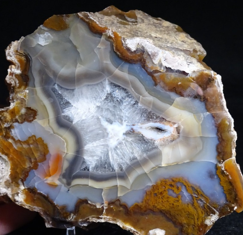 Turkish Agate Half Nodule Collector Specimen Turkey