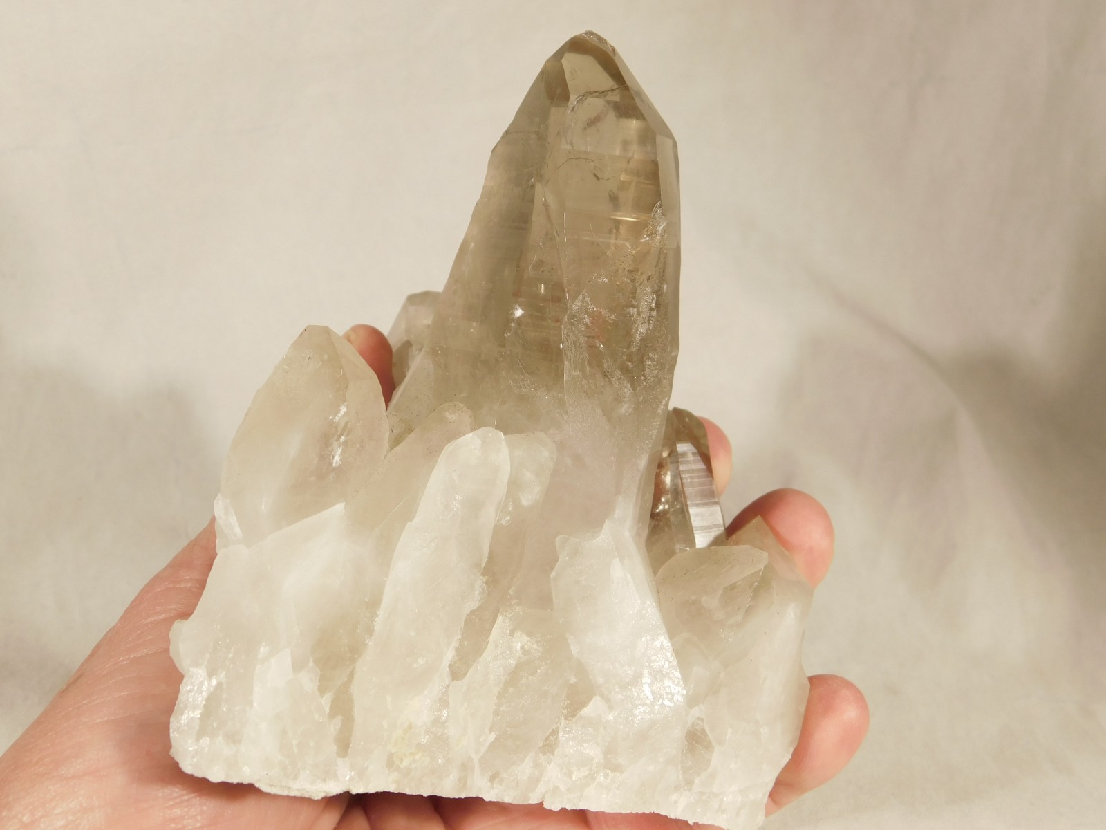 BIG! Free Standing! SMOKY Quartz Crystal Cluster From Brazil 792gr