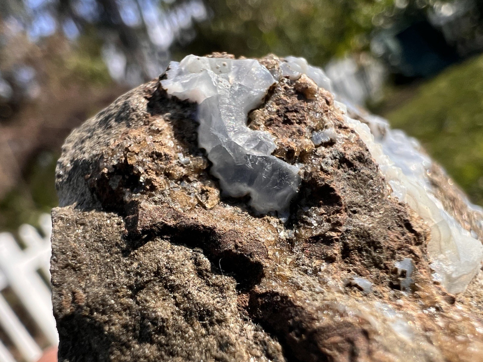 Botryoidal Blue Chalcedony Vug – Gleichenberg, Austria – 165 Grams