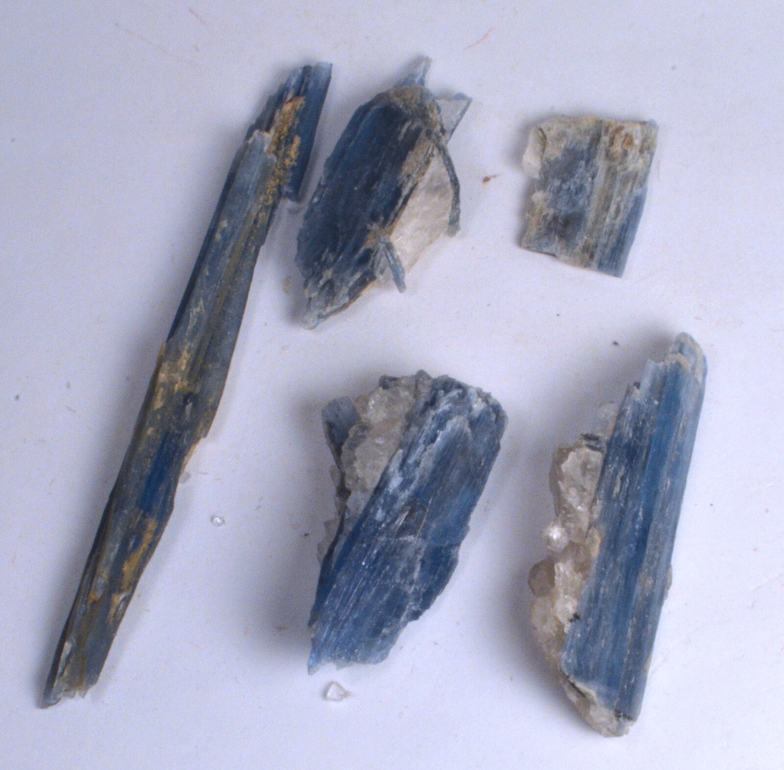 #7725 Very Gemmy Blue Kyanite – Bahia, Brazil – 5 Pieces