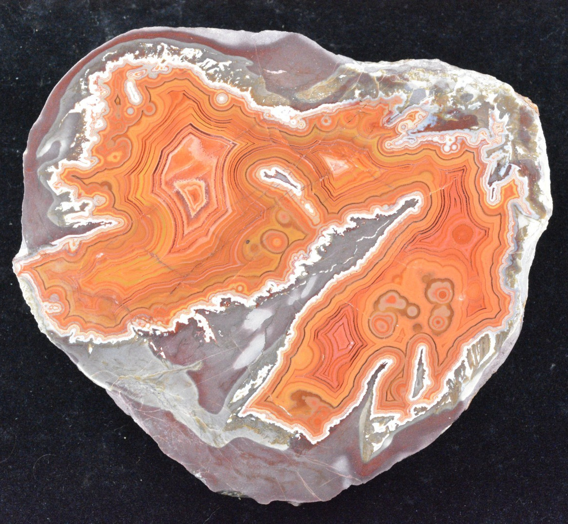 Large Dryhead Agate, Polished, Montana, 5.5×5.25×2″