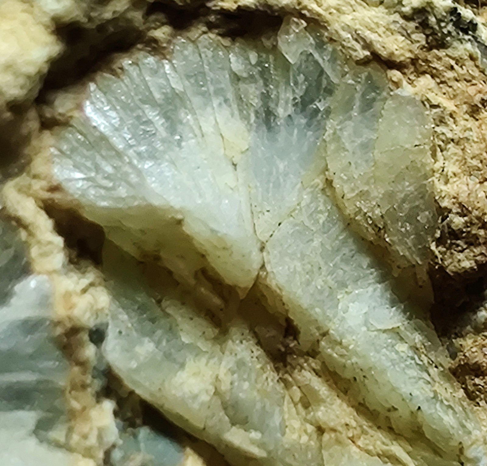 Opal on Sepentine with Magnetite, UV. San Benito, California. 213 grams.