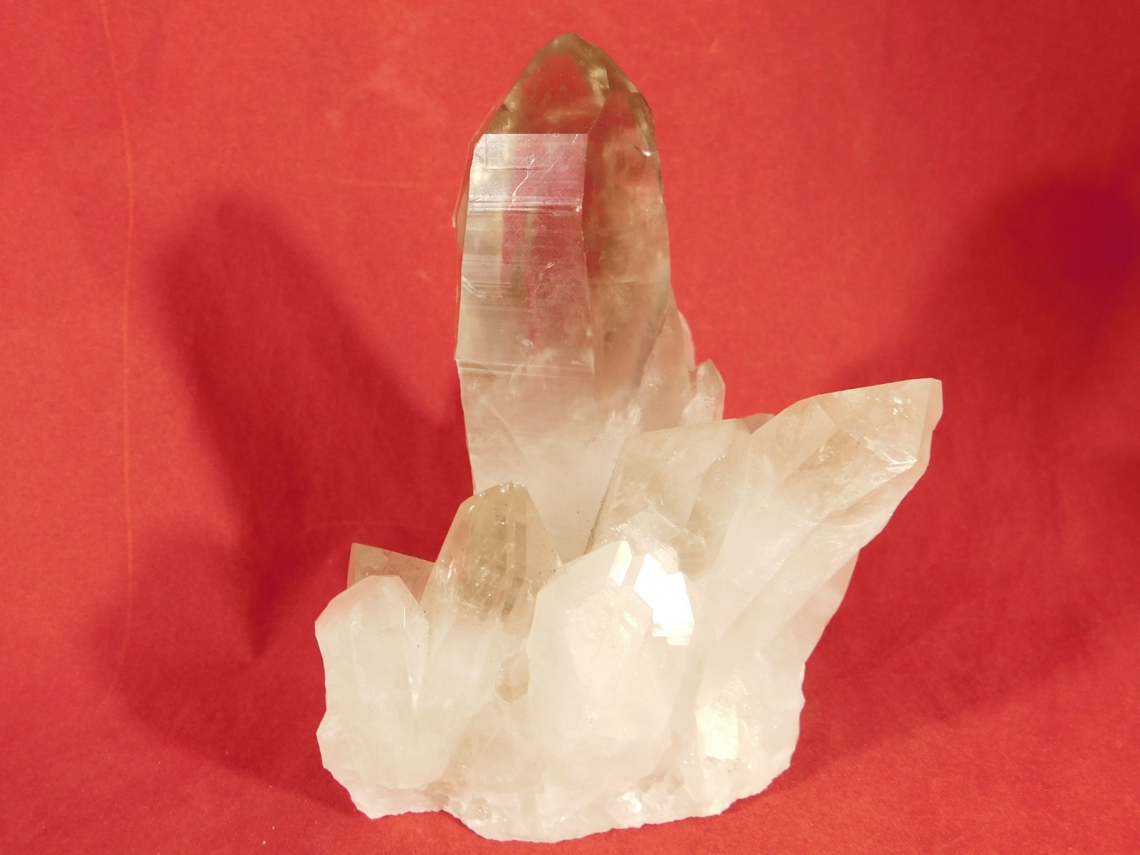 BIG! Free Standing! SMOKY Quartz Crystal Cluster From Brazil 792gr